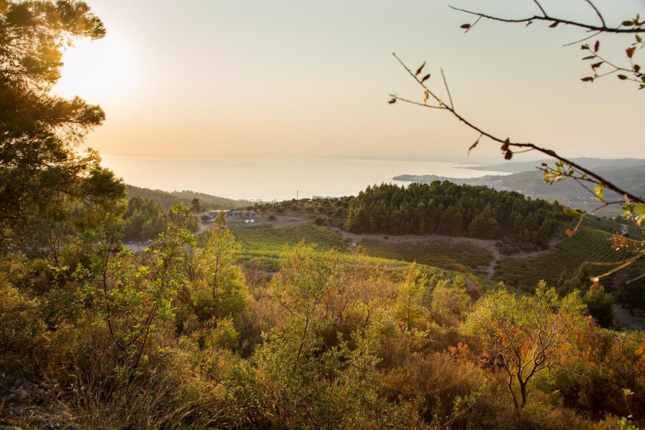 Aparthotel Alikon Adult-only Neos Marmaras