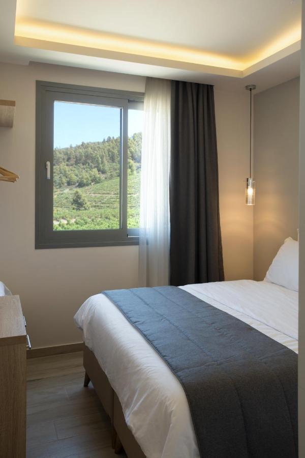 Alikon Adult-only Aparthotel Neos Marmaras