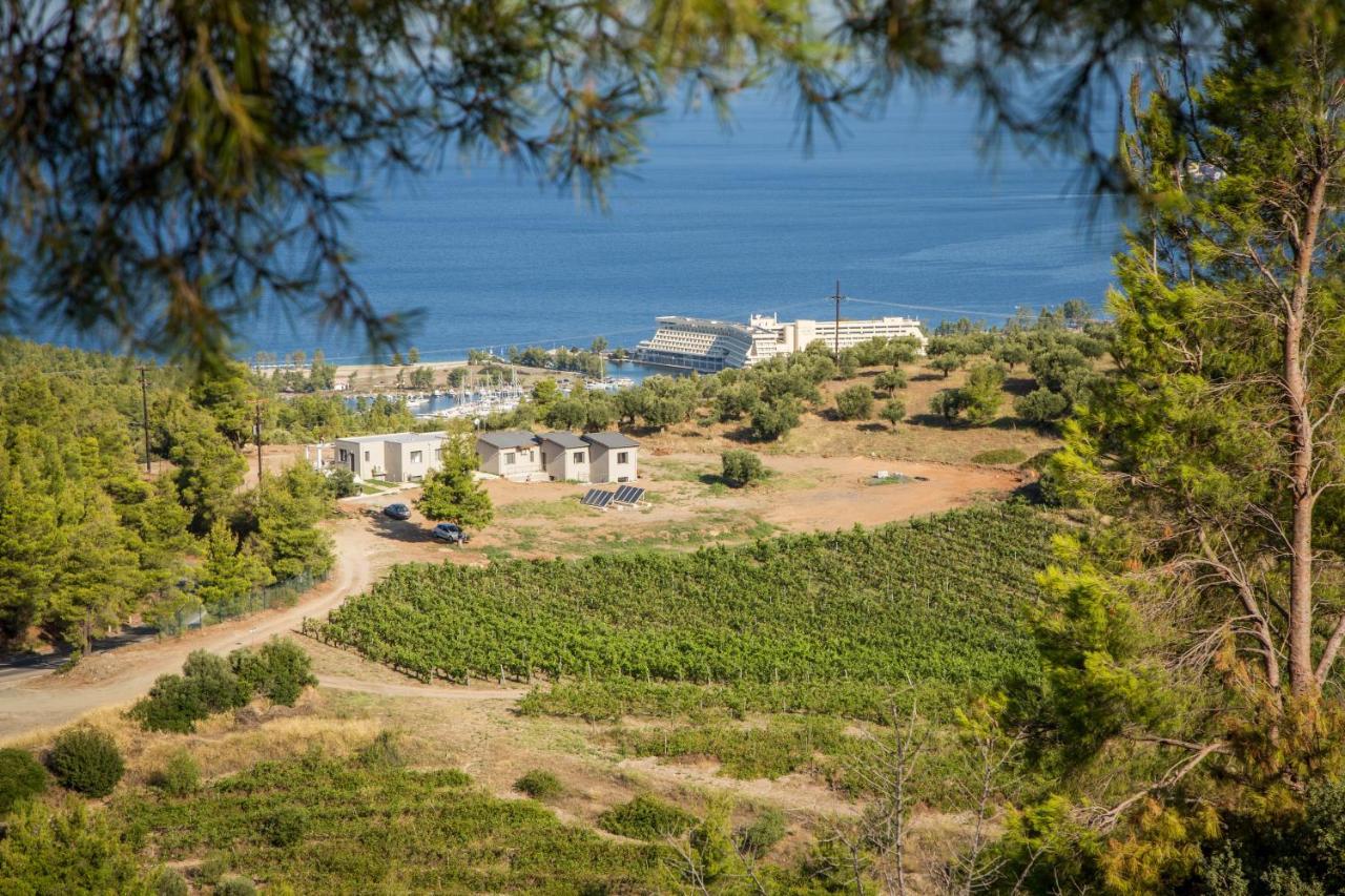 Alikon Adult-only Aparthotel *